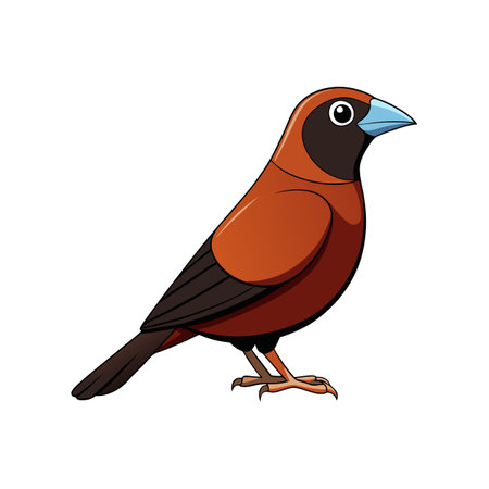 Stunning Chestnut Munia Bird Artworkのイラスト素材