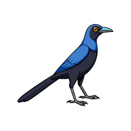 Charming Common Grackle Illustrationのイラスト素材