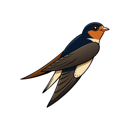 Charming Common Swift Bird Illustration in Full Colorのイラスト素材
