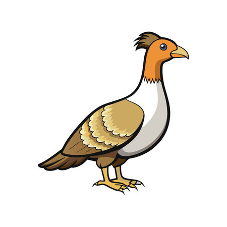 Stunning Greater Sage Grouse Bird Realistic Designのイラスト素材