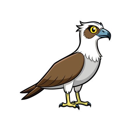 Detailed Osprey Bird in Natural Habitatのイラスト素材