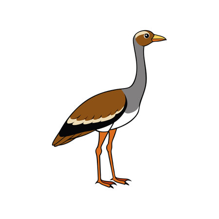 Beautiful Black-Bellied Bustard Bird Designのイラスト素材