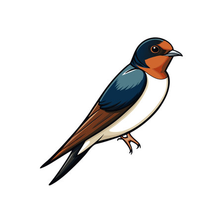 Stunning Cliff Swallow Bird Illustration with Detailのイラスト素材