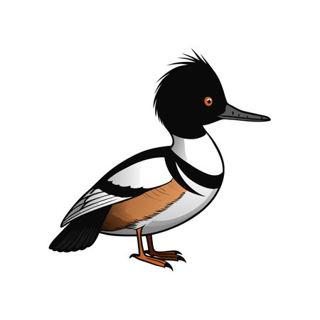 Vibrant Hooded Merganser Bird Water Artのイラスト素材