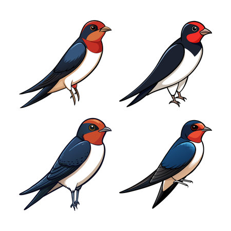 Dynamic Cliff Swallow Bird Illustration in Flightのイラスト素材