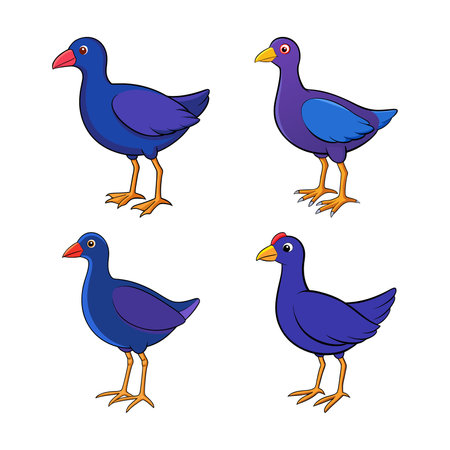 Majestic Purple Gallinule Artworkのイラスト素材