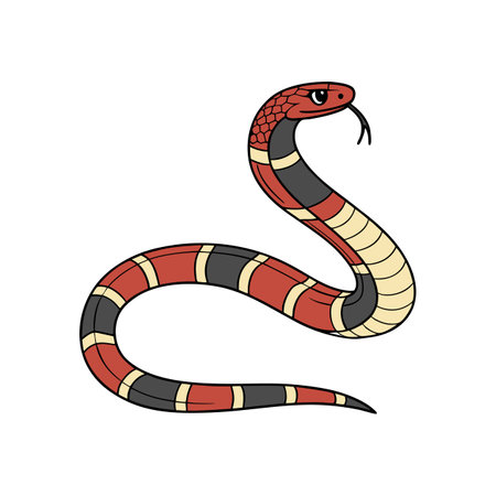 Vibrant Color Illustration of Arizona Coral Snake
