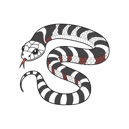 Lifelike California Kingsnake Graphic