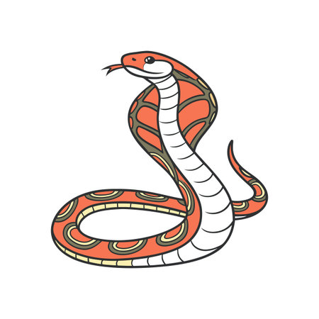 Vivid Brazilian Rainbow Boa Illustration