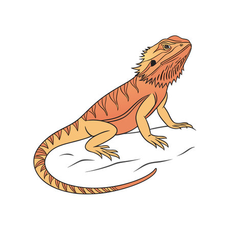 Realistic Bearded Dragon Color Illustrationのイラスト素材