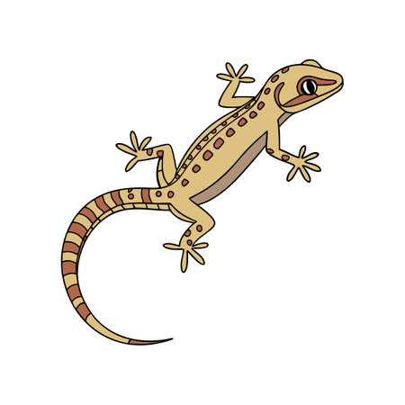 Realistic Illustration of Flat-Tailed House Geckoのイラスト素材