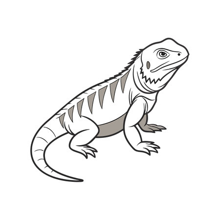 Detailed Representation of Common Chuckwalla in Colorのイラスト素材