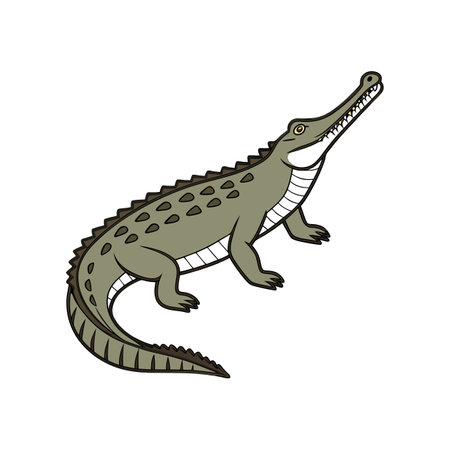 Realistic False Gharial Colorful Wildlife Illustrationのイラスト素材