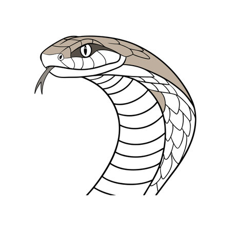 Stunning Eastern Racer Snake Nature Artのイラスト素材