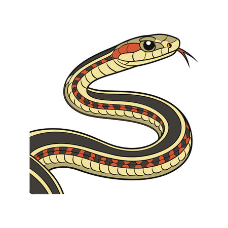 Detailed Representation of Garter Snake in Colorのイラスト素材