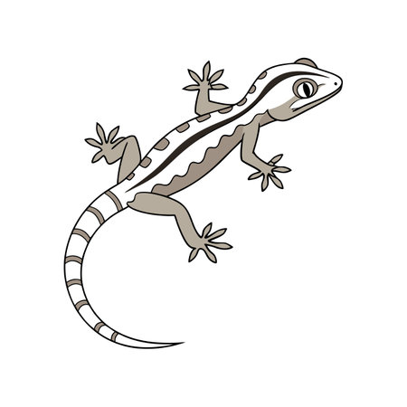 Vivid Mourning Gecko Nature Illustrationのイラスト素材