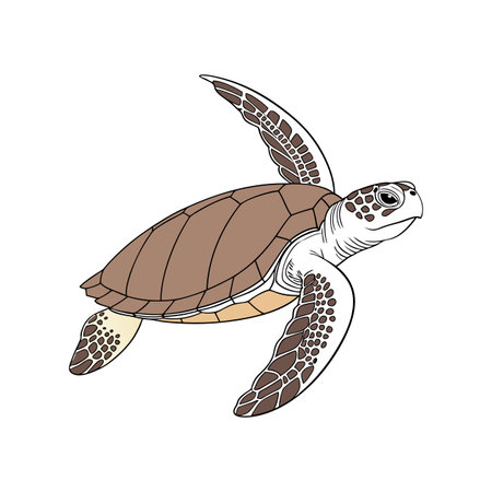 Realistic Pig-Nosed Turtle Colorful Wildlife Illustration