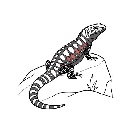 Mexican Beaded Lizard: A Nature Artworkのイラスト素材