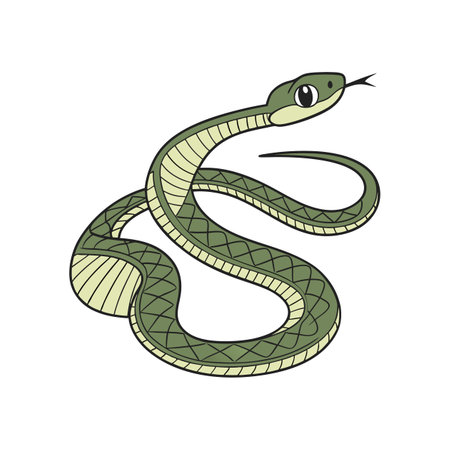 Vivid Representation of Paradise Tree Snake in Natureのイラスト素材