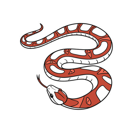 Detailed Representation of Red-Tailed Boa in Color