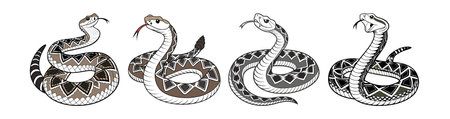Realistic Eastern Diamondback Rattlesnake Artworkのイラスト素材