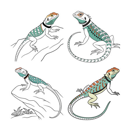 Realistic Collared Lizard Colorful Wildlife Illustrationのイラスト素材