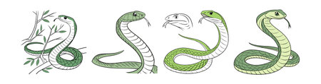 Realistic Eastern Green Mamba Artworkのイラスト素材