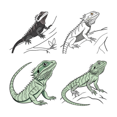 Realistic Eastern Water Dragon Wildlife Artworkのイラスト素材