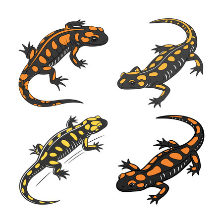 Vibrant Corsican Fire Salamander in Natureのイラスト素材