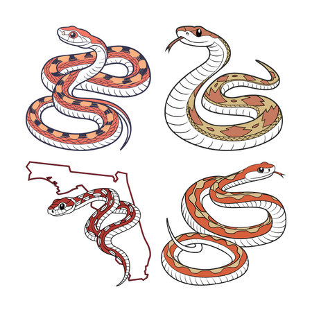 Realistic Florida Pine Snake Colorful Wildlife Illustration
