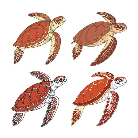 Realistic Loggerhead Sea Turtle in Oceanのイラスト素材