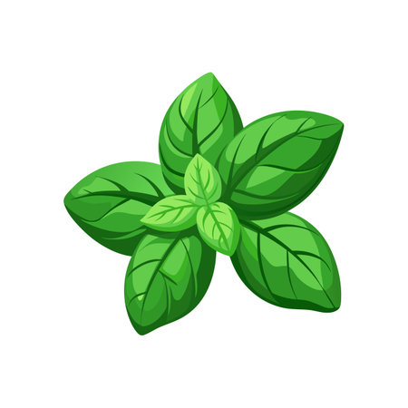 Vivid Basil Vegetable Color Illustrationのイラスト素材