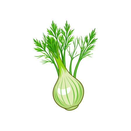 Stunning Dill Illustration Showcasing Rich Detailのイラスト素材