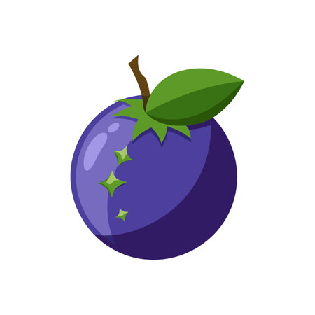 Jabuticaba Colorful Realistic Illustration for Displaysのイラスト素材