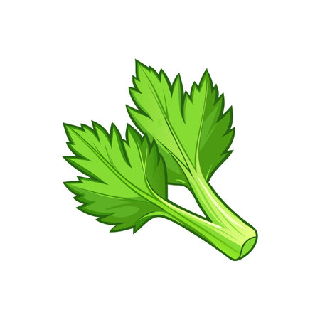 Stunning Leaf Celery Illustration with Rich Detailのイラスト素材