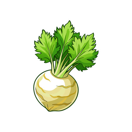 Engaging Mizuna Illustration for Culinary Inspirationのイラスト素材