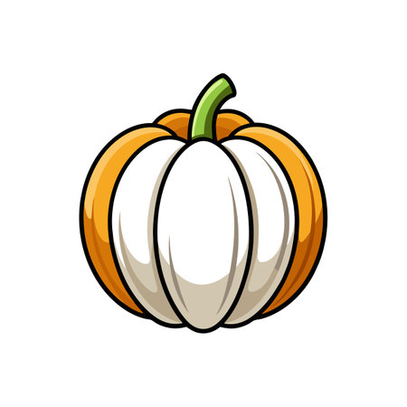 Detailed Flat White Boer Pumpkin Vegetable Color Illustrationのイラスト素材