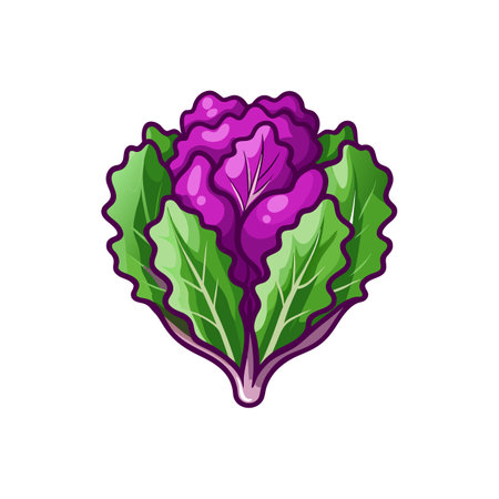 Colorful Purple Kale Illustration for Culinary Displaysのイラスト素材