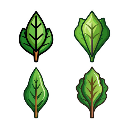 Broad Leaf Arrowhead Realistic Colorful Illustrationのイラスト素材