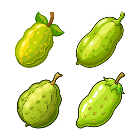 Mooli Realistic Colorful Illustration for Cookingのイラスト素材