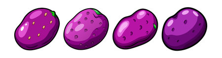 Purple Potato Realistic Colorful Illustration for Cookingのイラスト素材