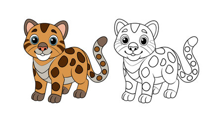 Clouded Leopard Coloring Animal Illustration