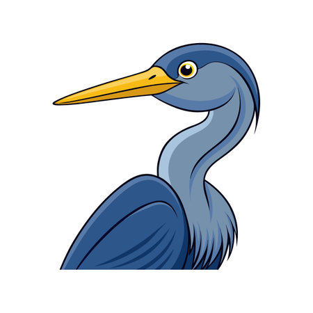Vibrant Agami Heron Bird Detailed Illustrationのイラスト素材