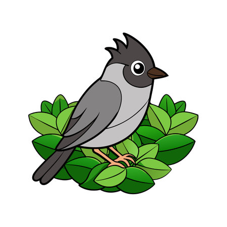 Stunning Bush Blackcap Bird Representationのイラスト素材