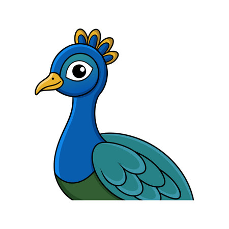 Realistic Common Peafowl Bird Illustrationのイラスト素材