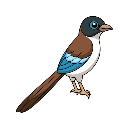 Vivid Fork-Tailed Flycatcher Bird Designのイラスト素材