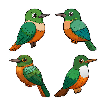 Coppery-Chested Jacamar Bird Colorful Illustrationのイラスト素材