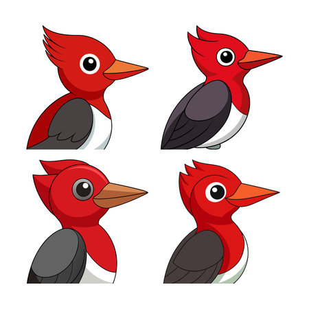 Realistic Red-Headed Woodpecker Bird Illustrationのイラスト素材