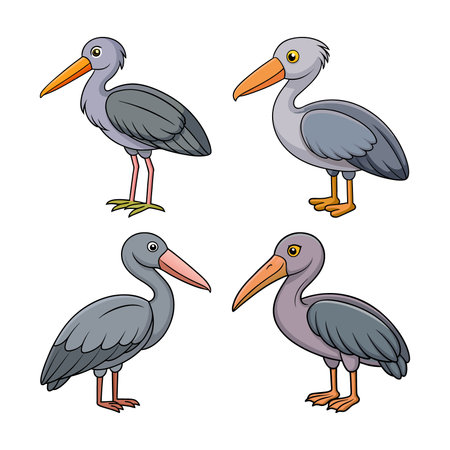 Realistic Asian Openbill Bird Illustrationのイラスト素材