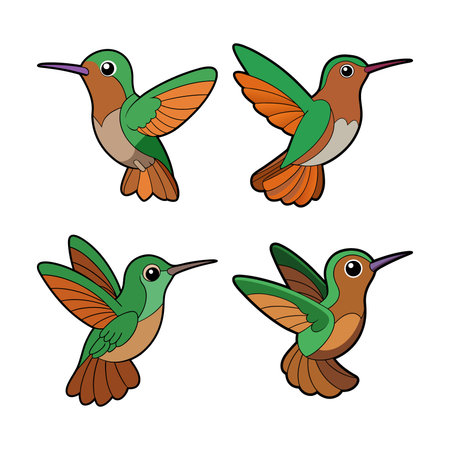 Dynamic Buff-Bellied Hummingbird Bird Artworkのイラスト素材